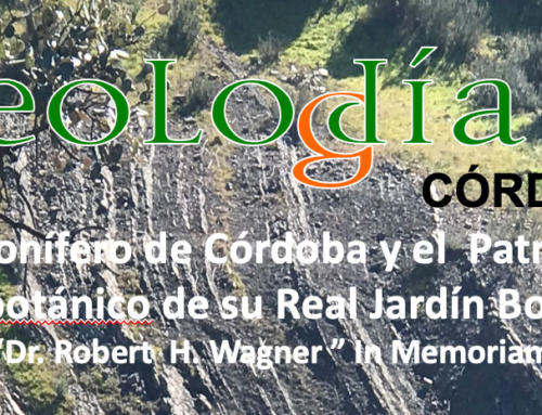 El Carbonífero de Córdoba y el Patrimonio Paleobotánico de su Real Jardín Botánico: In memoriam Doctor Robert H. Wagner